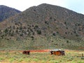 North America, USA, Arizona, Little Colorado Navajo Tribal Park Royalty Free Stock Photo