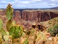 North America, USA, Arizona, Little Colorado Navajo Tribal Park Royalty Free Stock Photo