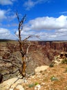 North America, USA, Arizona, Little Colorado Navajo Tribal Park Royalty Free Stock Photo