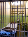 North America, USA, California, San Francisco, Alcatraz prison Royalty Free Stock Photo