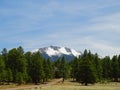 North America, USA, Arizona, Flagstaff, Humphreys Peak