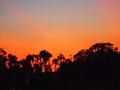 North America, USA, Florida, sunset on the Crystal River Royalty Free Stock Photo