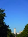 North America, USA, Florida, Tallahassee, Florida Historic Capitol Museum and Florida State Capi