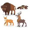 North America wild animals set. Collection of forest animals. Bison, deer, lynx, wolverine. Vector illustrations in comic style,