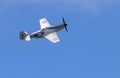 Mustang P51 in flight Royalty Free Stock Photo