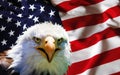 North American Bald Eagle on American flag Royalty Free Stock Photo