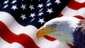 North American Bald Eagle on American flag Royalty Free Stock Photo