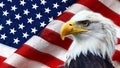 North American Bald Eagle on American flag Royalty Free Stock Photo