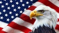 North American Bald Eagle on American flag