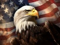 North American Bald Eagle on American flag Royalty Free Stock Photo