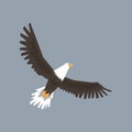 North American Bald Eagle character flying in the sky, symbol of freedom and independence vector illustration