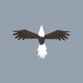 North American Bald Eagle character flying, symbol of freedom and independence vector illustration Royalty Free Stock Photo
