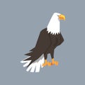 North American Bald Eagle character, symbol of freedom and independence vector illustration