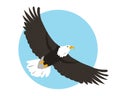 North American Bald Eagle flying in sky. Bird icon Royalty Free Stock Photo