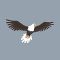 North American Bald Eagle flying, symbol of freedom and independence vector illustration Royalty Free Stock Photo