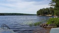 North American Cottage Dock in Summer