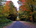 North american fall landscape path road