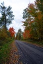 North american fall landscape path road