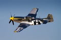 North American P-51D Mustang Fighter Plane Royalty Free Stock Photo