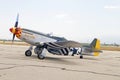 1945 North American P-51D Mustang Lady Alice Fighter Aircraft Royalty Free Stock Photo