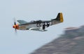 North American P-51 Mustang Royalty Free Stock Photo