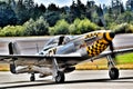 P-51 Mustang fighter plane Royalty Free Stock Photo