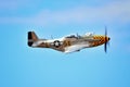 P-51 Mustang fighter plane Royalty Free Stock Photo