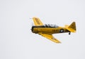 North American T-6 Texan Aeroplane