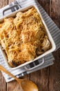 North American tetrazzini with chicken close-up in a baking dish