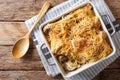 North American tetrazzini with chicken close-up in a baking dish