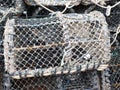 A North American type of lobster or crab pot