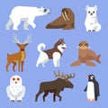 North Arctic or Antarctic animals and birds. Vector flat collection