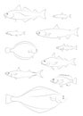 North Atlantic fish silhouettes. Vector images set.