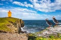 North Atlantic puffins sitting in front of orange lighthouse in