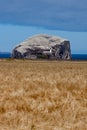 NORTH BERWICK, FIRTH OF FORTH/SCOTLAND - AUGUST 14 : View of Bass Rock in Firth of Forth near North Berwick on August 14,2010