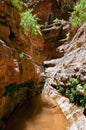 North Canyon in the Grand Canyon