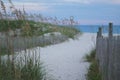 North Carolina Beach and dune fence with foreground in focus.