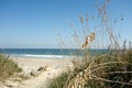 North Carolina Beach With Sea Oats Foreground