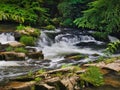 North Carolina Cascades and Waterfalls Royalty Free Stock Photo