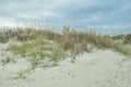 North Carolina Coast Sand Dune