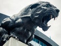 North Carolina Panthers football panther statue roaring fierce