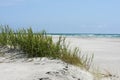 North Carolina sand dunes