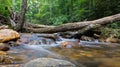 North Carolina Wilderness River Rapids in Summer