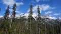 North Cascade Moutain Range, Washington State, USA Royalty Free Stock Photo