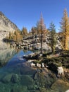 North cascades National park mountain lake with golden larches.