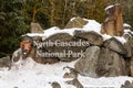 North Cascades National Park entrance sign with snow