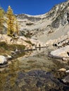 North cascades stream in the fall.