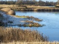 North Cave Wetlands, East Yorkshire, England, in winter