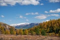 North Chuiskiy Ridge with forest on foreground and larch forest and snow mountains are on background