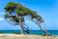 North coast, Pointe Allegre, Basse-Terre, Guadeloupe, Caribbean Royalty Free Stock Photo